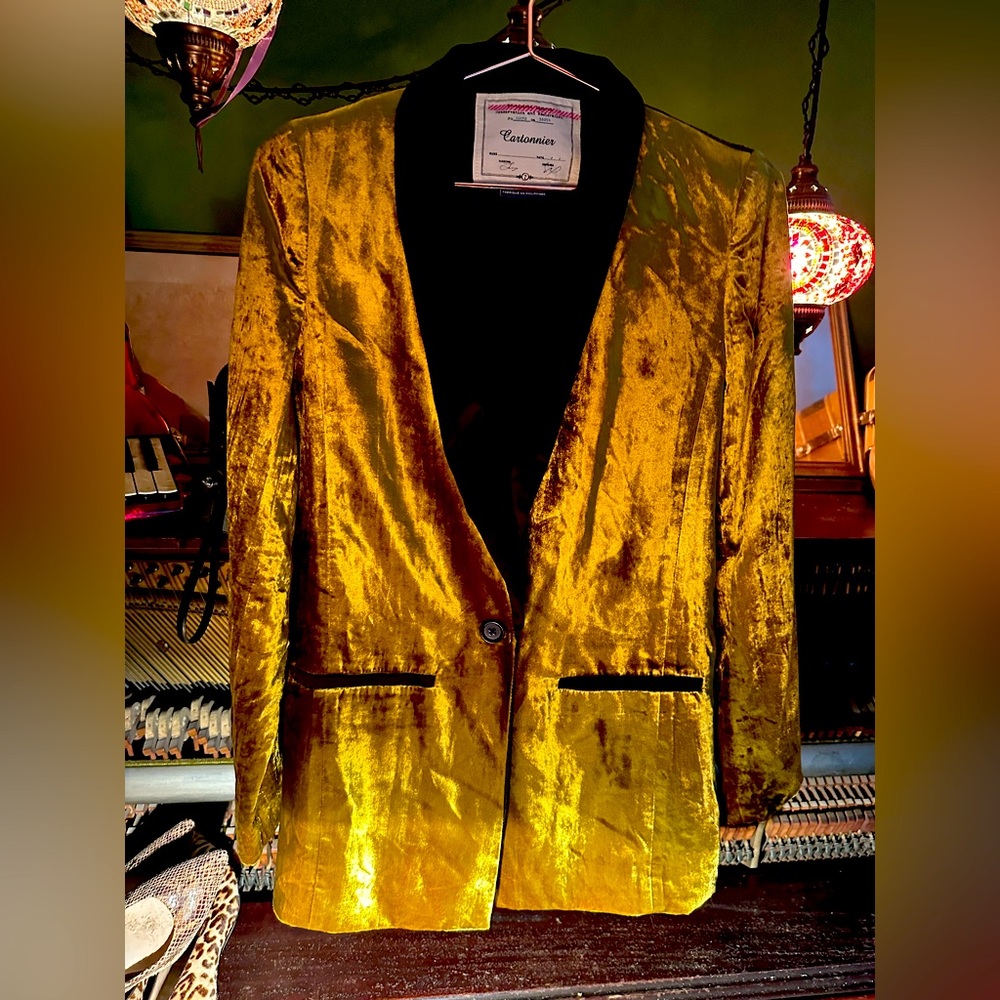 ANTHROPOLOGIE tuxedo blazer velvet crushed #golden #luxe #satin sz6 glam classy